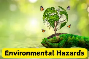 Environmental Hazards of Gas Stoves and Eco-Friendly Solutions
