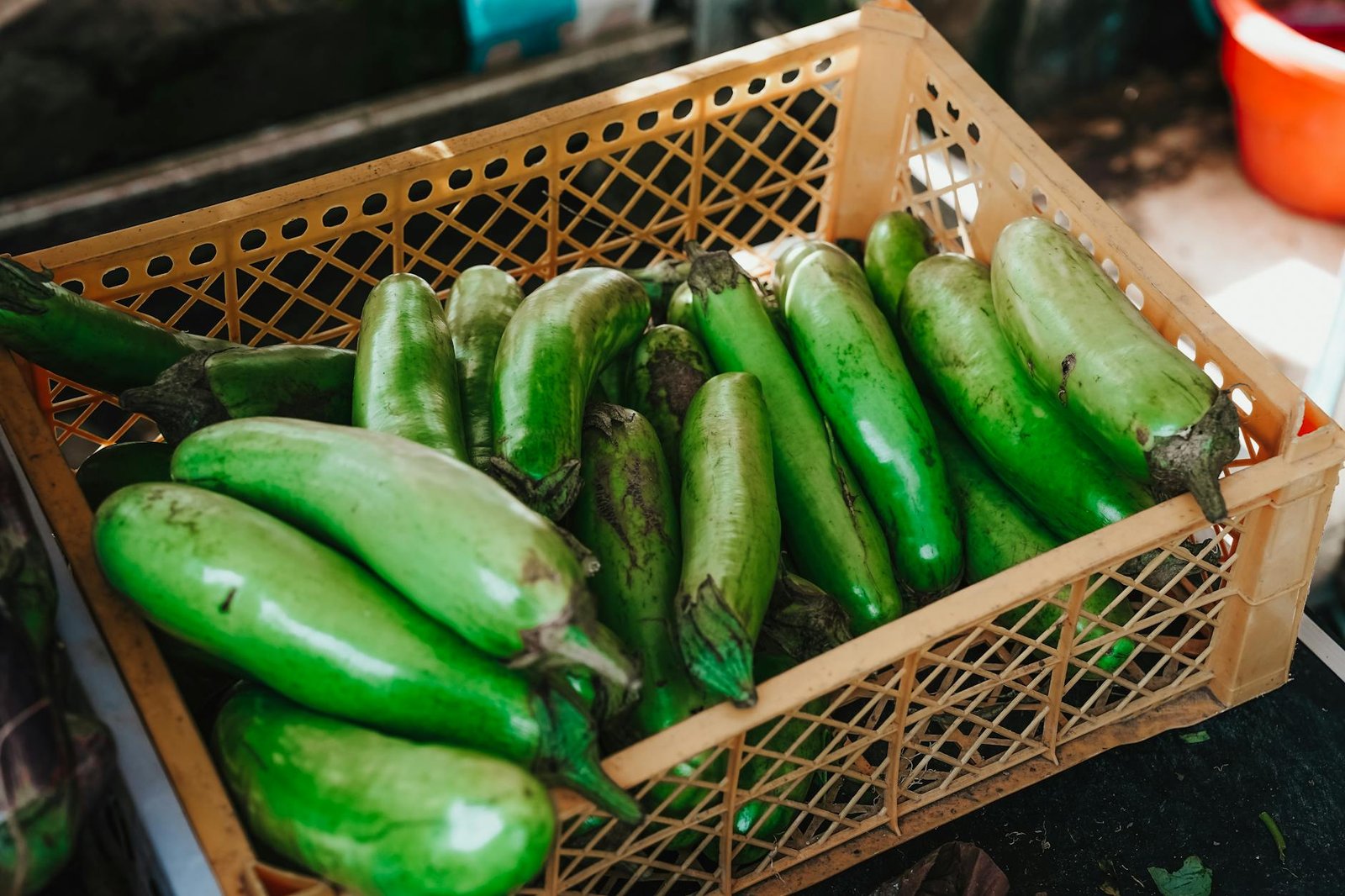 A crate filled with vibrant green eggplants displayed at a local market in Surabaya, Indonesia.