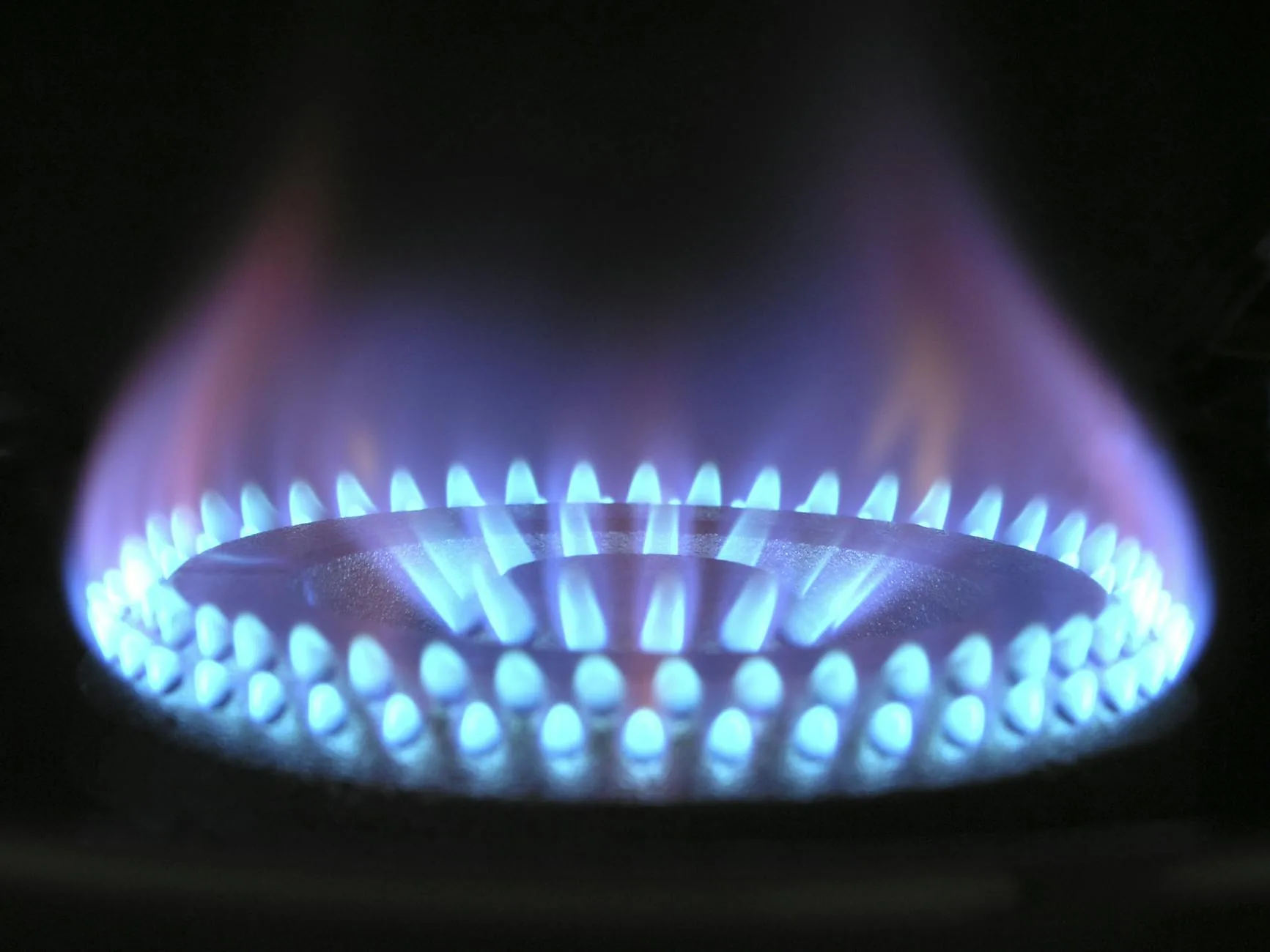 Close-up of a healthy blue gas stove flame with a small inner cone — the target appearance after fixing a red or yellow flame