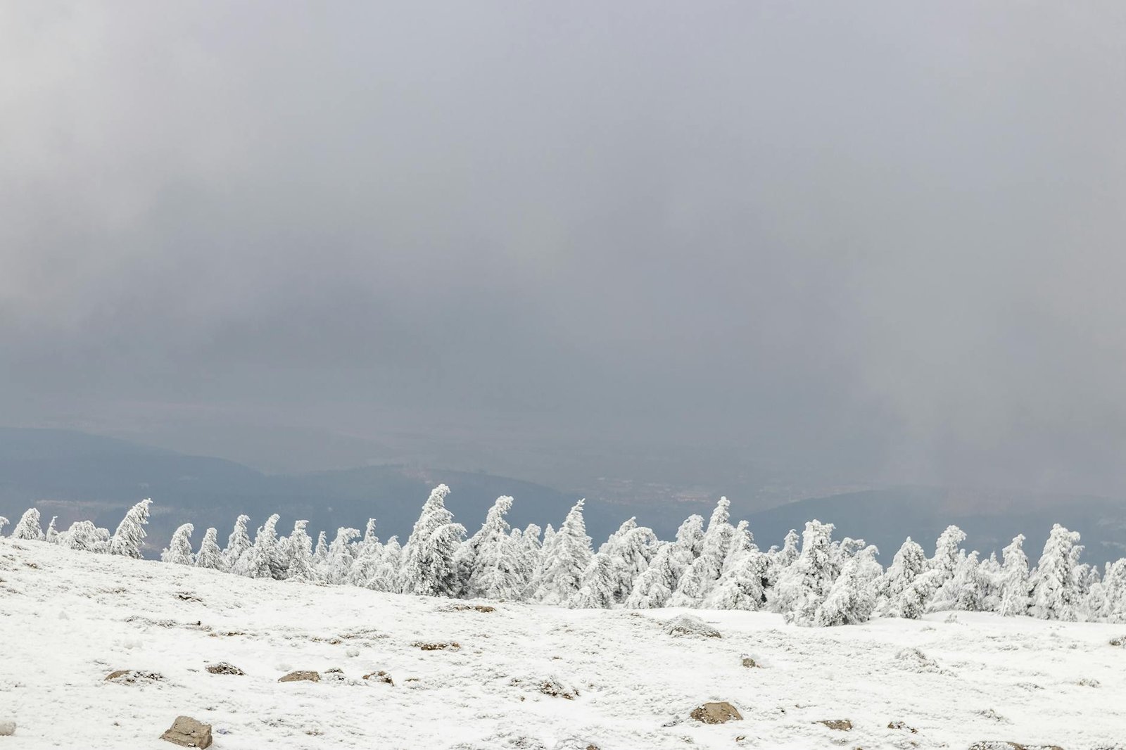Free stock photo of chunks, ice, resin